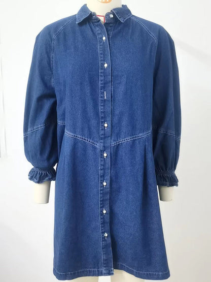 Denim Button-Up Shirt Dress