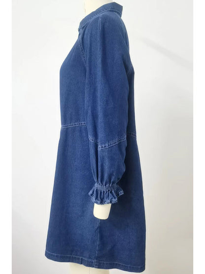 Denim Button-Up Shirt Dress